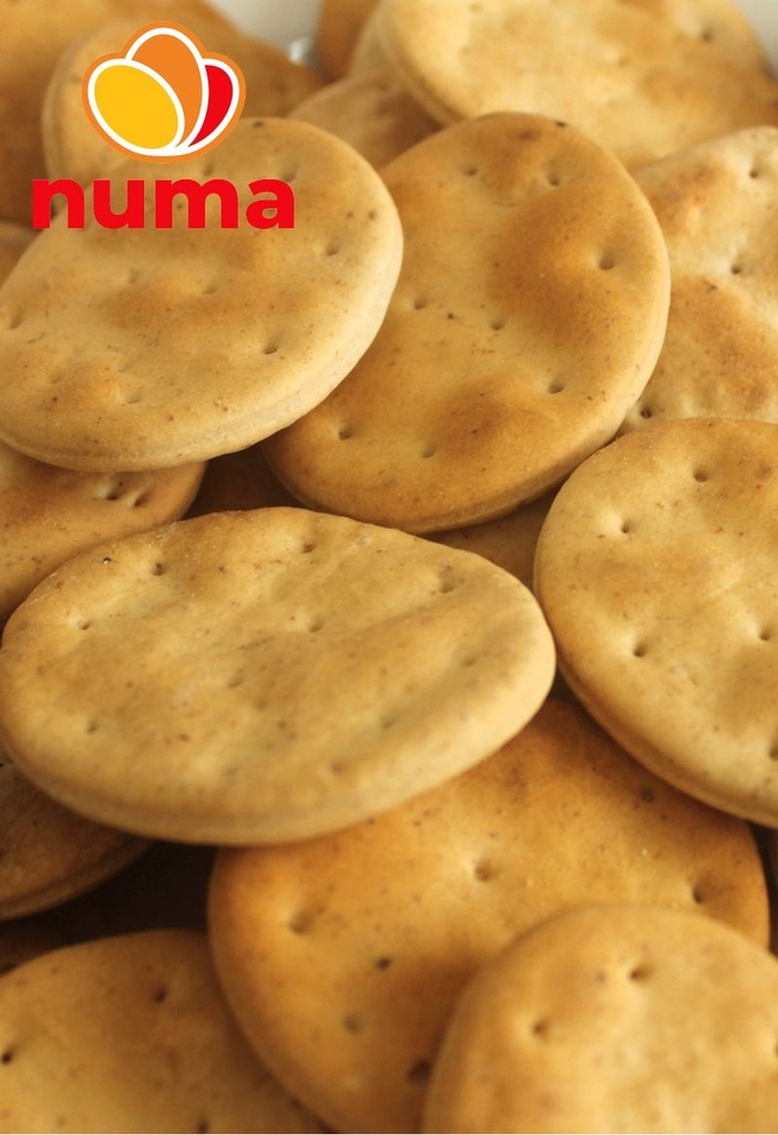 Galletas de Sal 1000g